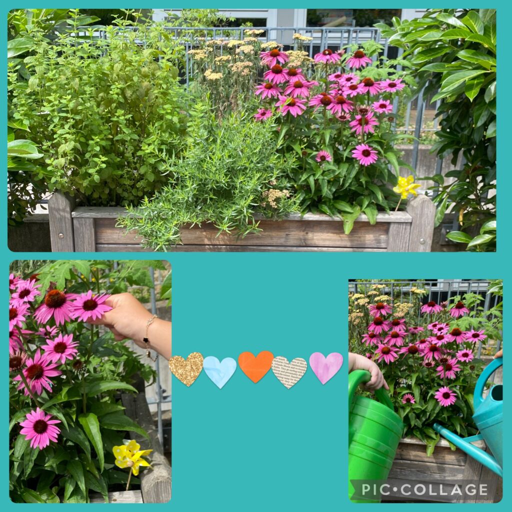 Flower power